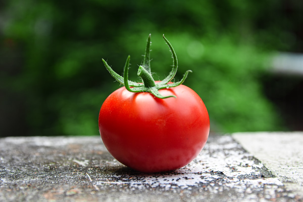 Nutrisi Penting untuk Prostat Sehat